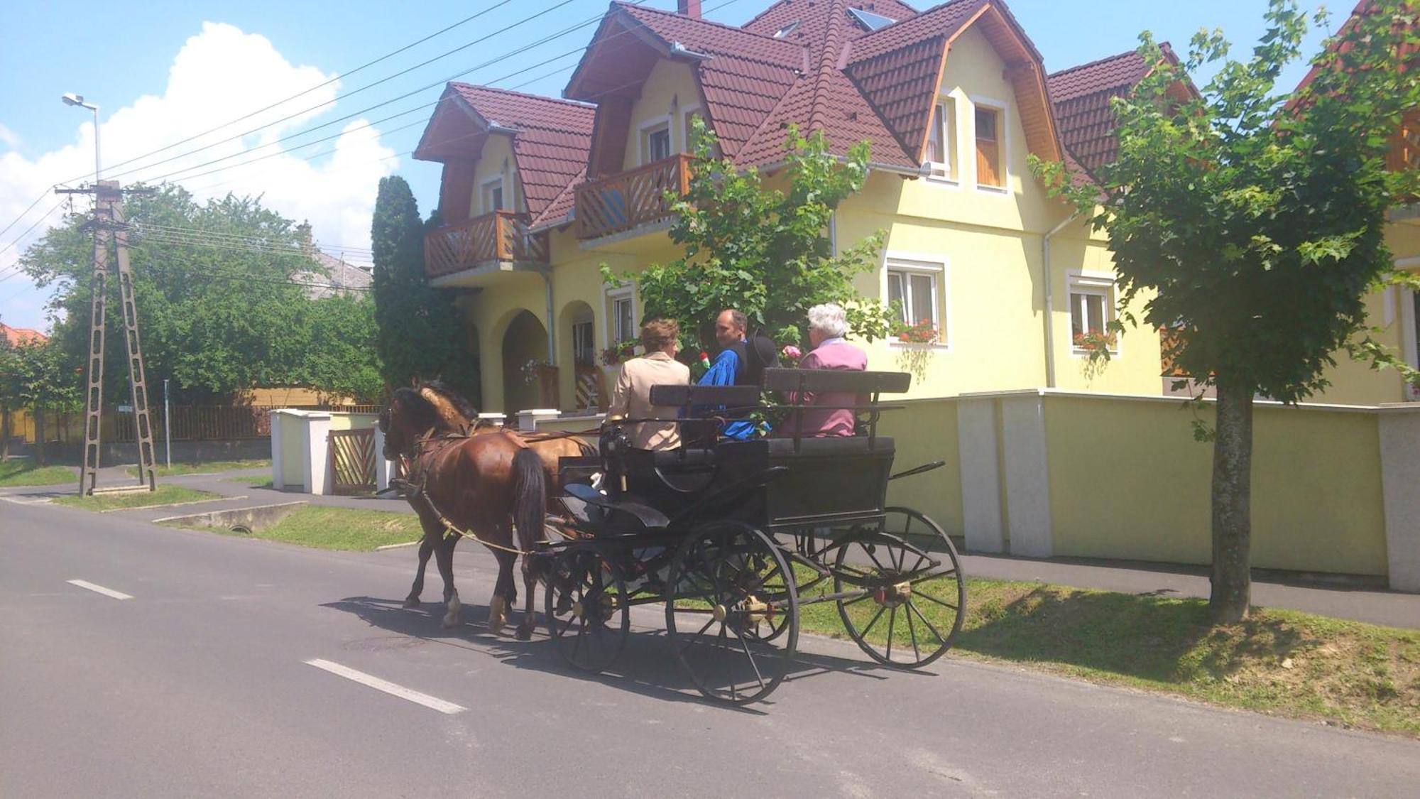 Erika Pension Кестхей Экстерьер фото
